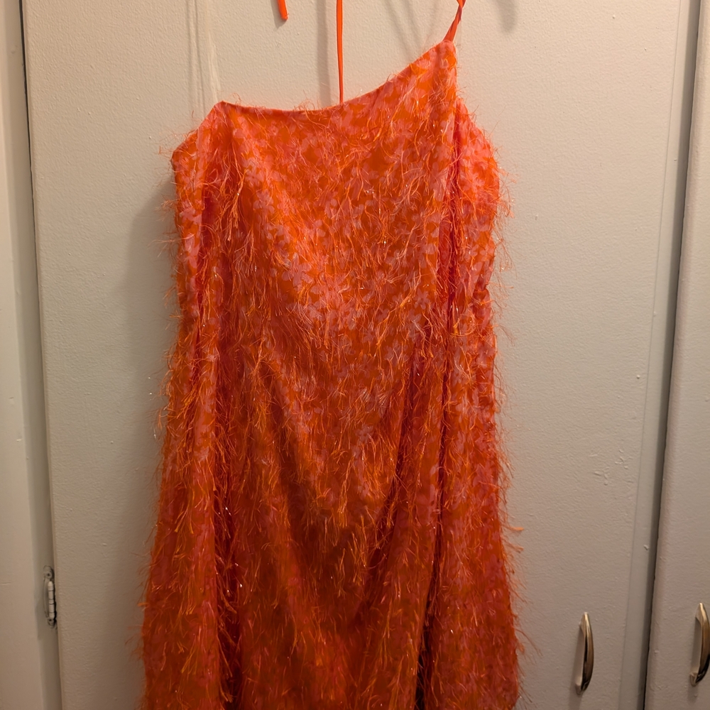 Vibrant Orange Feathered Dress